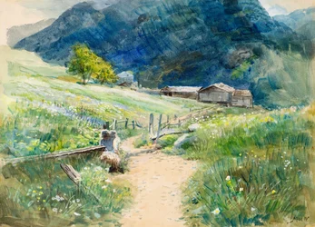 June in the Austrian Tyrol