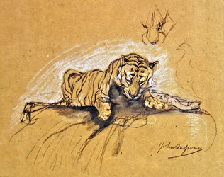 Tigress Eating, c.1875