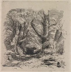 A Path through the Wood