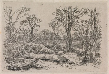 Felled Timber, Burningham