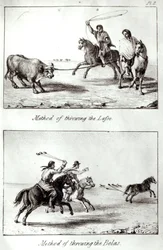 Methods of Throwing the Lasso and the Bolas, from 