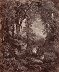 Solitude, 1865