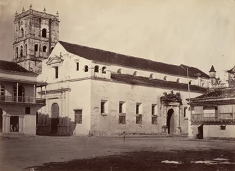 Tropical Scenery, Cathedral, Cartagena