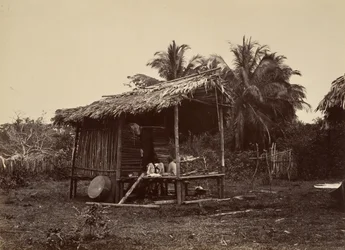 Tropical Scenery, Native Hut, Turbo