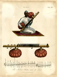 Indian Guitar with Scale
