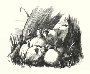 Vignette, The Enemies of Rome