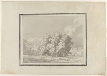 Horse Chestnut