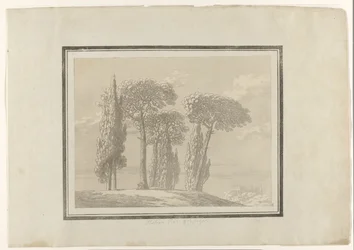 Italian Pine and Cypress