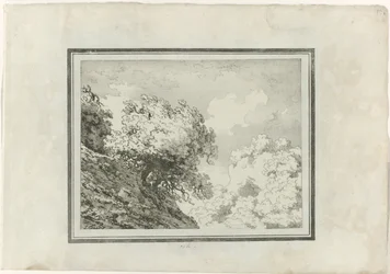 Oak