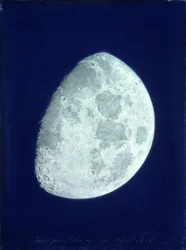 Face of the Moon