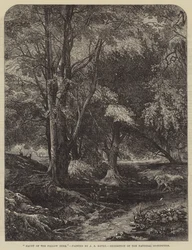 Haunt of the Fallow Deer