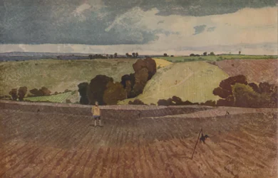 A Ploughed Field
