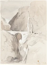 Gorge with Tree Stumps