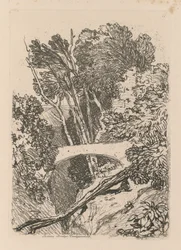 Parsons Bridge, Cardingshire, 1838