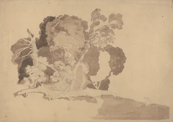 Study of Trees