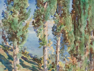 Corfu: Cypresses