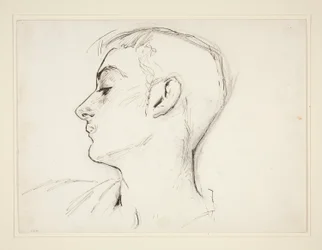 Head of a Young Man in Profile