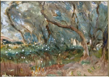 Landscape, Corfu, 1909