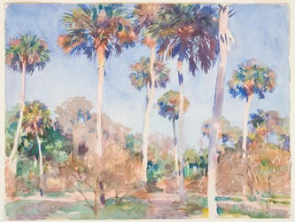Palms