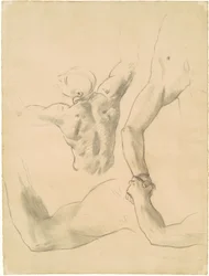 Studies for Two Classical Male Figures Wrestling
