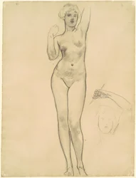 Studies of Aphrodite for 