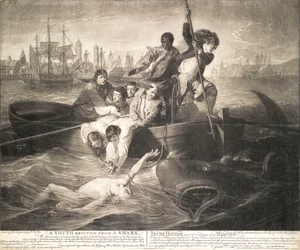 A youth rescued from a shark