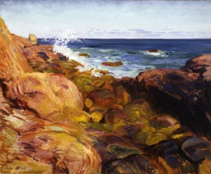 Gully at Low Tide