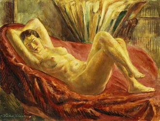 Nude and Portfolio Case