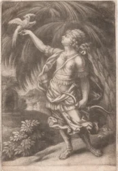 A Falconer