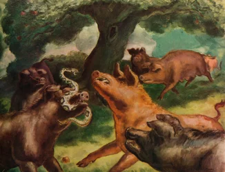 Hogs Killing a Rattlesnake
