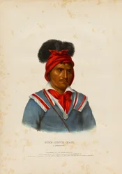 Foke-luste-hajo, a Seminole