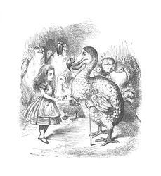 Alice and the Dodo, 1889