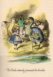 Alice in Wonderland by Lewis Carroll, Illustrated by John Tenniel