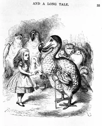 Alice in Wonderland: meeting Alice with a dodo by Lewis Carroll (Illustration of the first edition by Tenniel)
