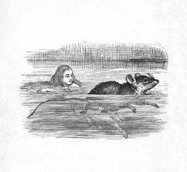 Alice Swimming with a Mouse in a Pool