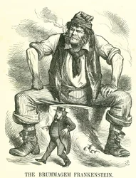 The Brummagem Frankenstein: Reform of Parliament