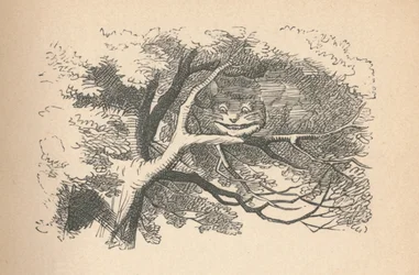 The Cheshire Cat Begins to Fade Away, Its Smile the Last to Go
