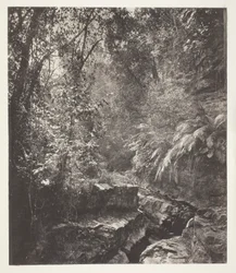 A Mountain Pass in Formosa