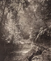 A Mountain Pass in the Island of Formosa