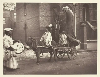 November Effigies, 1881
