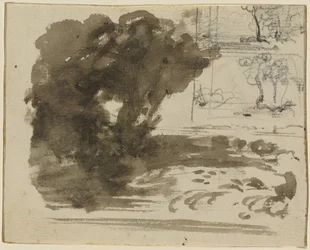 A Stand of Trees