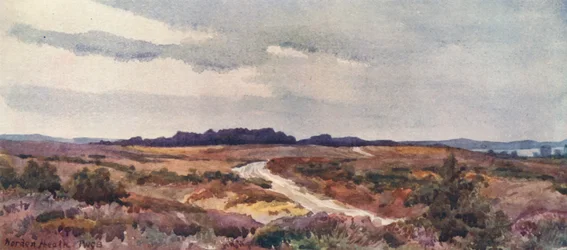 Norden Heath