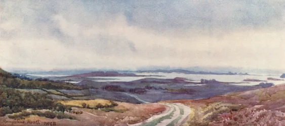 Poole Harbour from Rempstone Heath