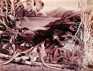 Australian, c.1874