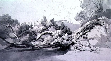 Landscape with Uprooted Tree