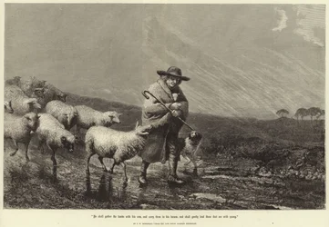 He shall gather the lambs with his arm