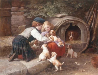 Playing with the Puppies