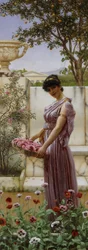 The Flowers of Venus, 1890