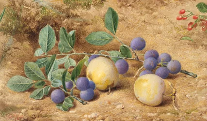Plums, 1870