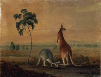 Kangaroos in a landscape, c.1819
